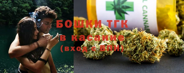 дурь Алексин