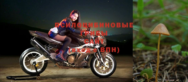 мет Алзамай