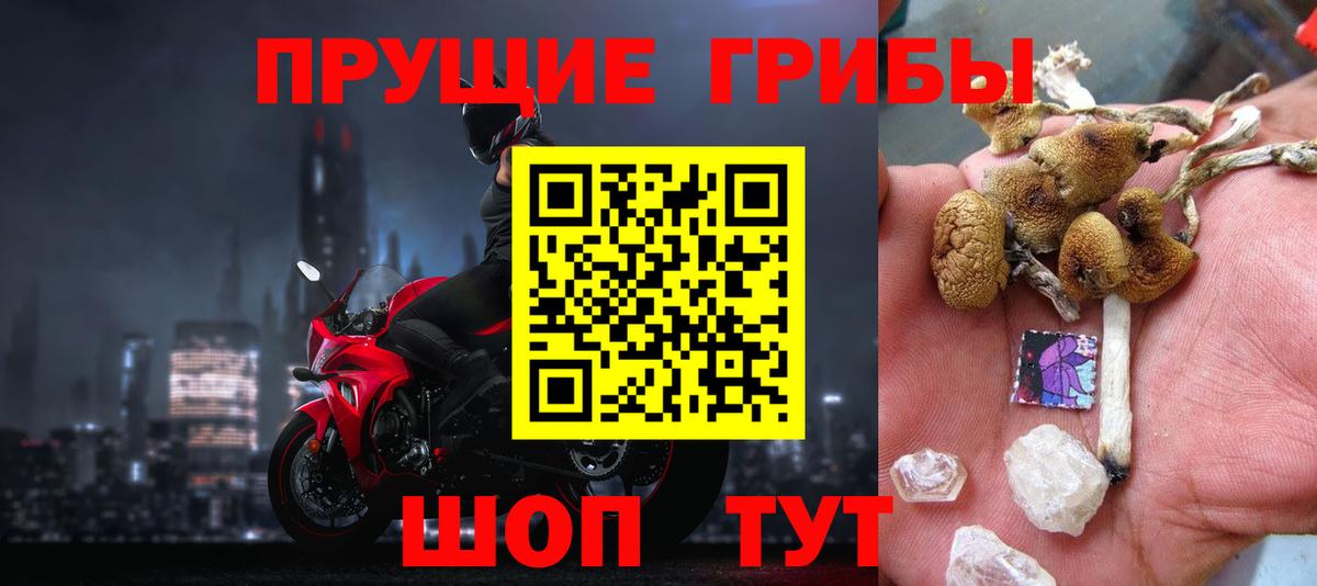 Галлюциногенные грибы мухоморы  Вход с VPN  Усть-Илимск  Галлюциногенные грибы GOLDEN TEACHER 